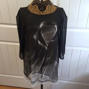 Zara sheer top